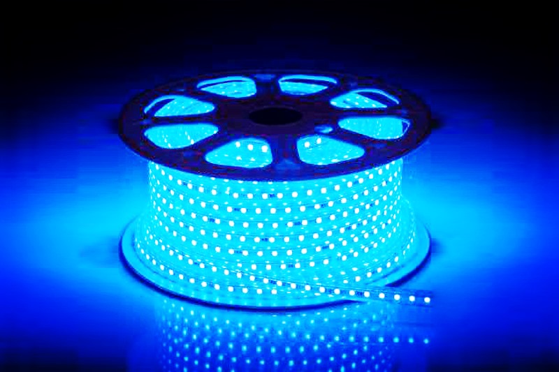 fd-led-dd5050dd-60p-6w-蓝光灯带靓颖